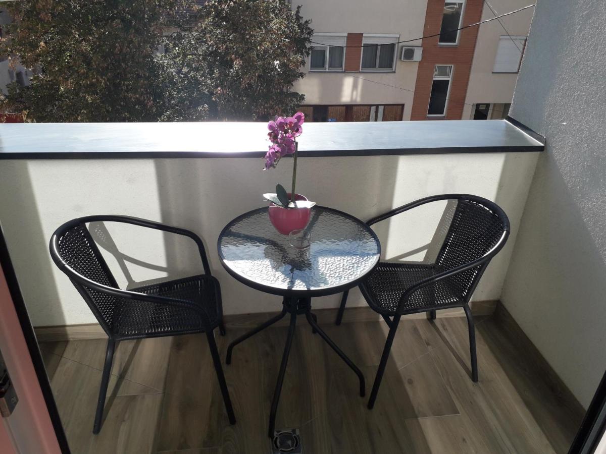 塞格德Hajnal Apartman公寓 外观 照片